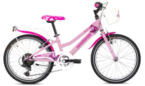 bicicletta bambina 20 pollici con cambio